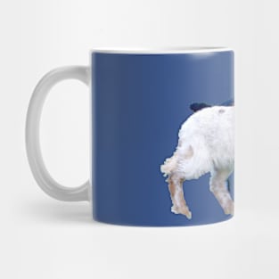 Lamb black and white / Swiss Artwork Photography Mug